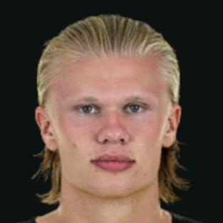 E. Haaland