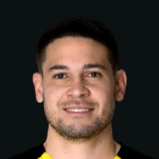 R. Guerreiro