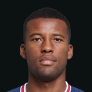 G. Wijnaldum