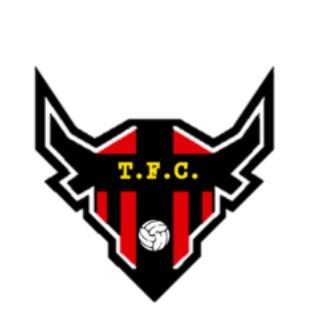 Toro FC