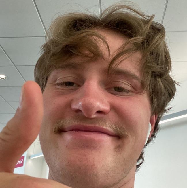 Les moustachus