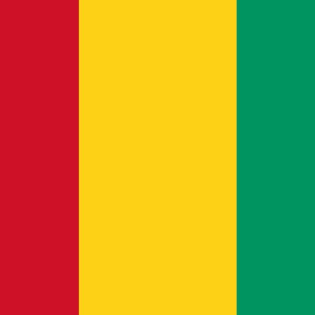 G. Conakry 🇬🇳