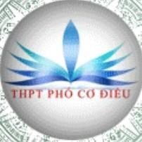(RG) THPT Phó Cơ Điều