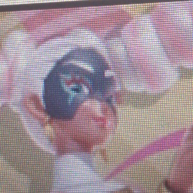 Twintelle