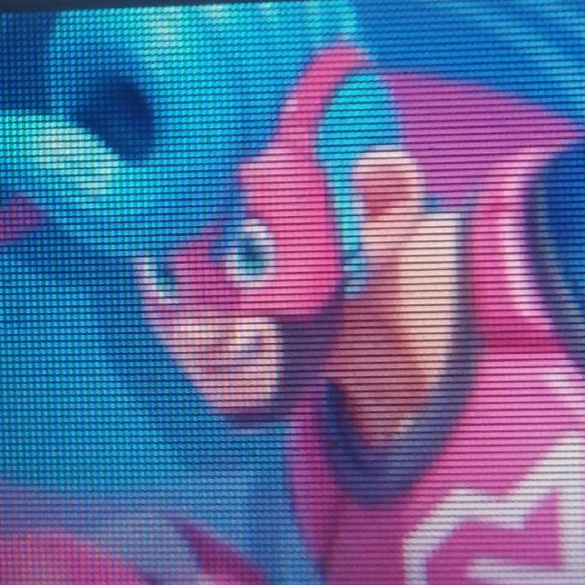 Spring man