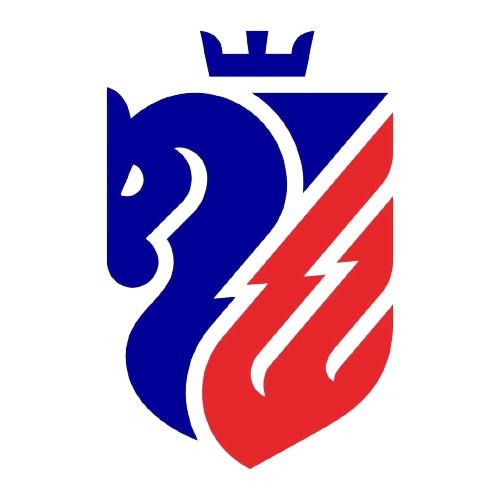 FC Botosani