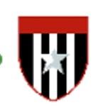O Pirata do Espaço