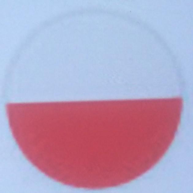 Pologne