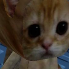 El Gato