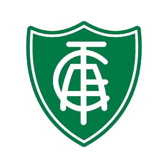 AMÉRICA MINÉRIO