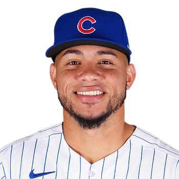 Willson Contreras