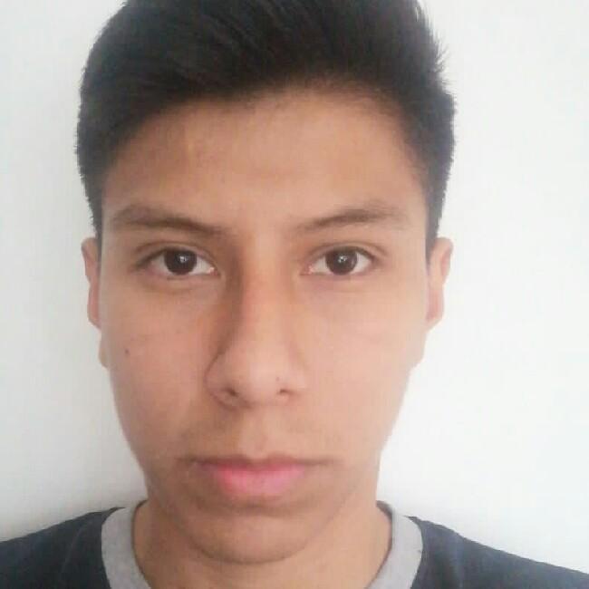 David Algarañaz Ortega
