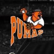 Pumas
