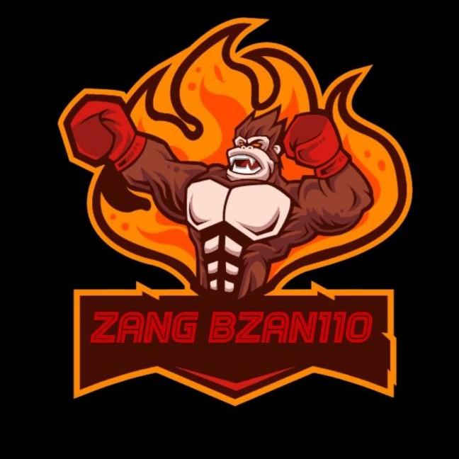 ZANG BZN 110