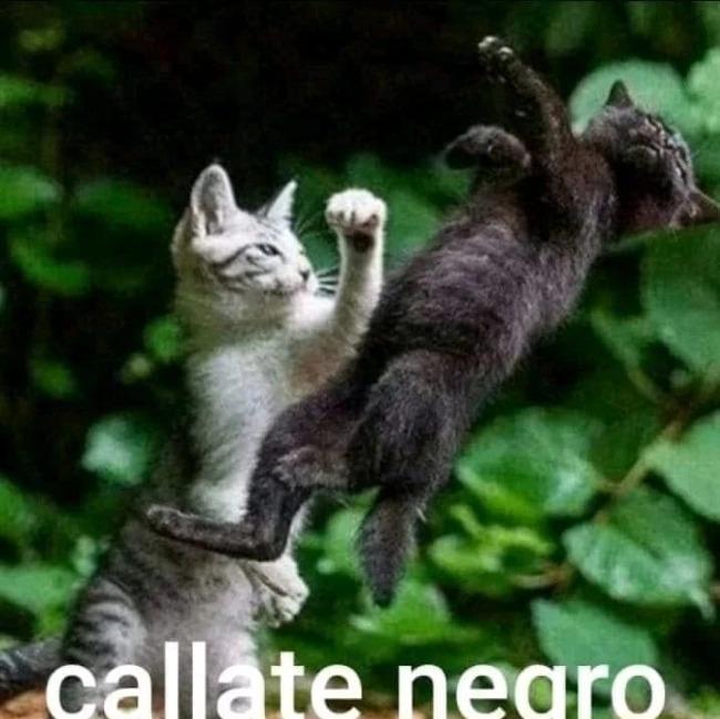 Racistas FC