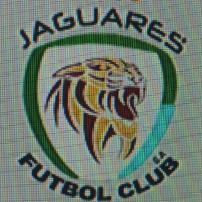 JAGUARES