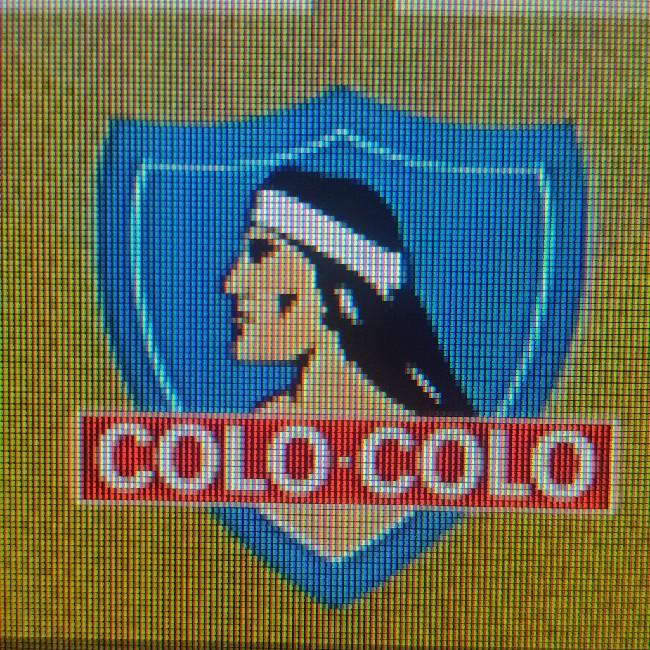 Colo colo
