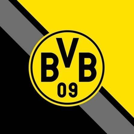 Borussia de Dortmund