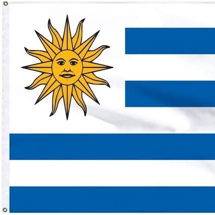 Neves  15