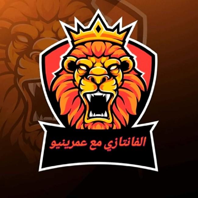 بطولة عمرينيو للتيمات