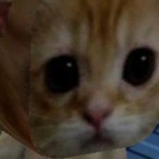 El Gato FC
