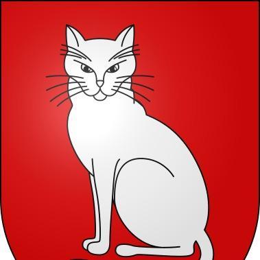Gatos FC