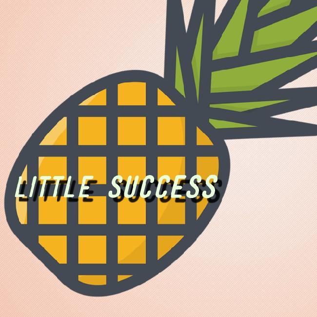 LITTLE SUCCESS