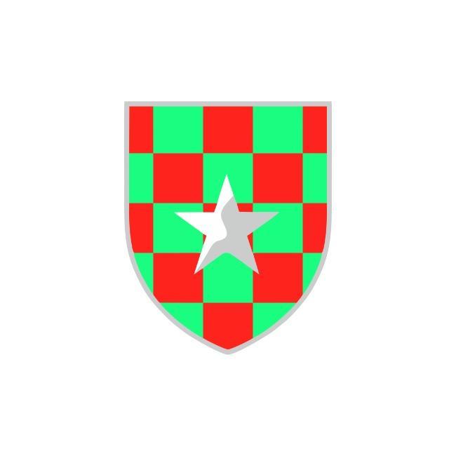 FLUMINENSE FUTEBOL CLUBE F.C MEU AMOR