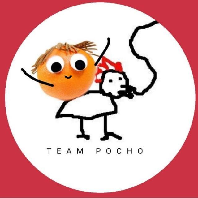 Team Pocho