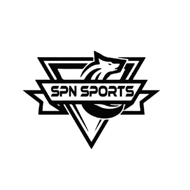 SPN ESPORTS