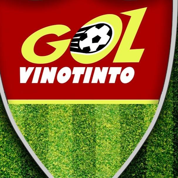 ACADEMIA GOL VINOTINTO