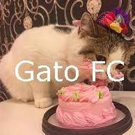 gatos fc