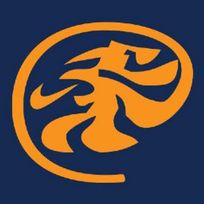 Leones del Caracas