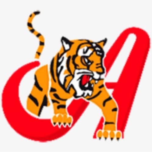 Tigres de Áragua