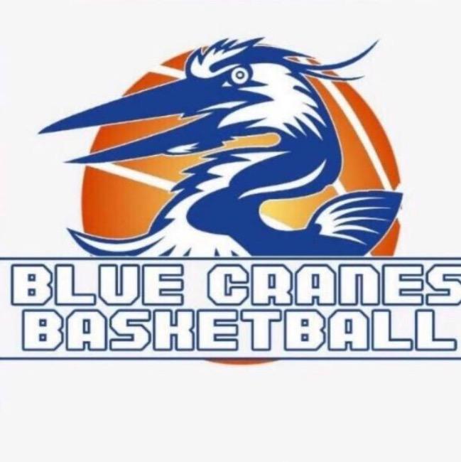 Blue Cranes