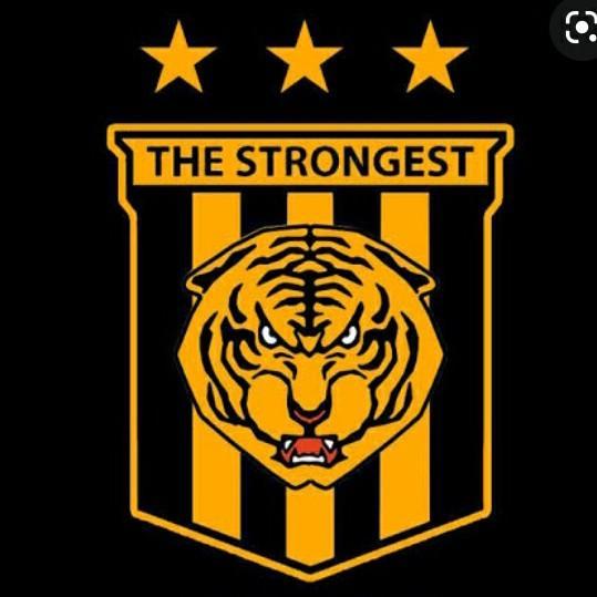 The Stronghest