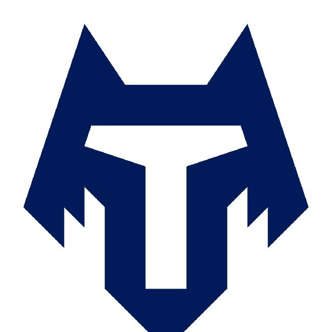 Фк Тамбов