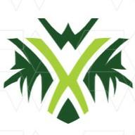 AlienX Esport