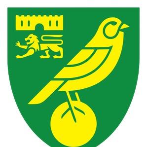 Norwich City Yellows