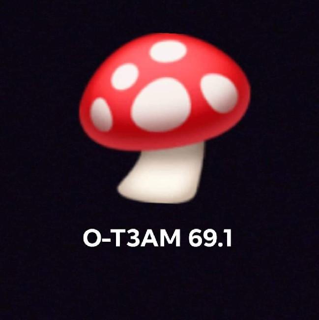 O-TEAM 69.1