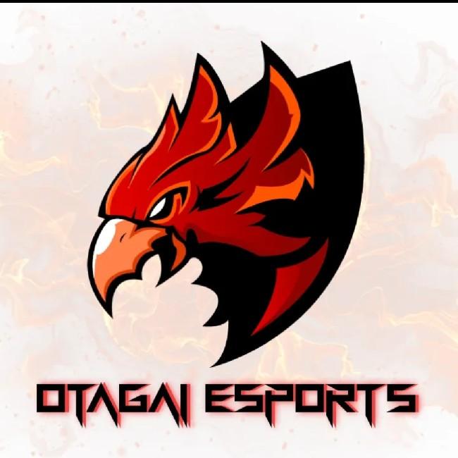 OTAGAI ESPORTS