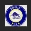 Búfalo
