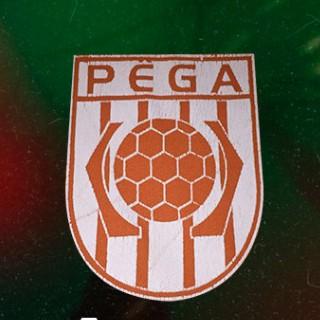 PÊGA S.C