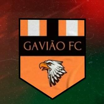 GAVIÃO