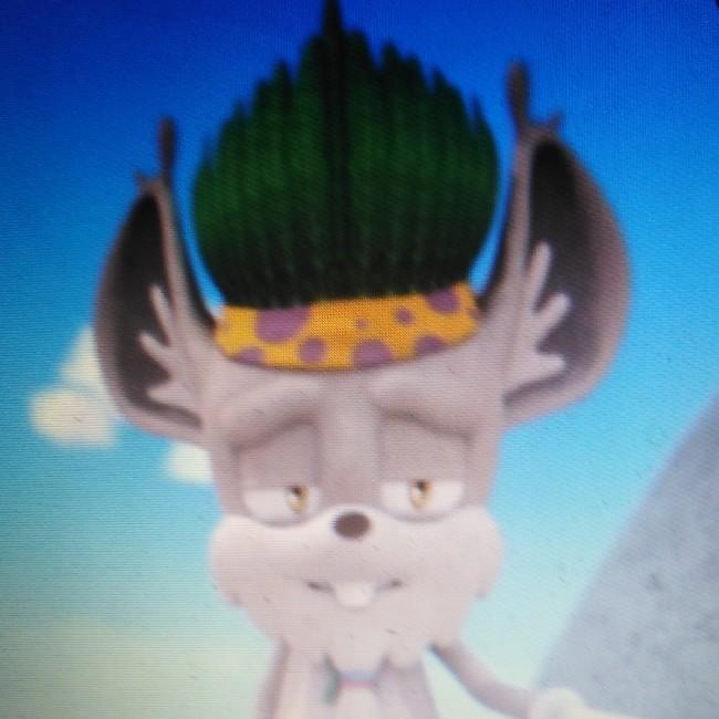 Chef gogoba