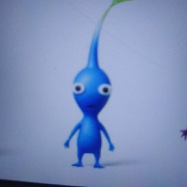Pikmin bleu