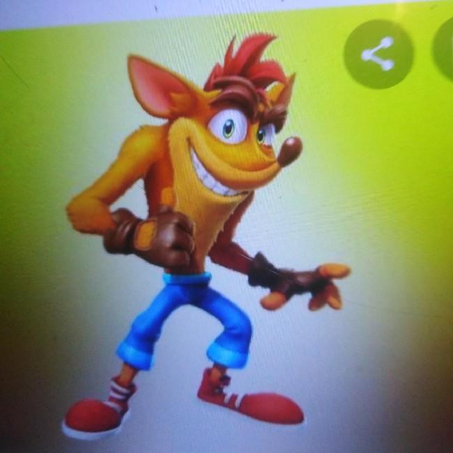 Crash bandicoot