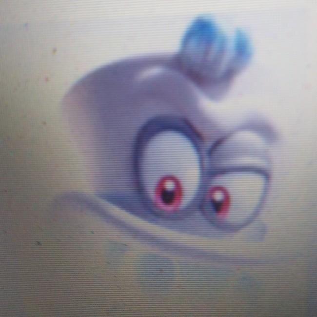 Capy