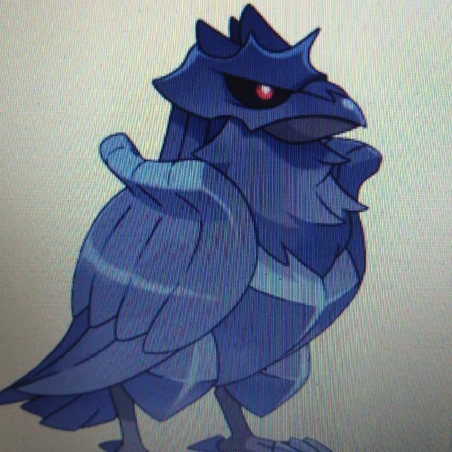 Corvaillus