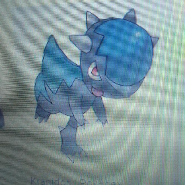 Kranidos